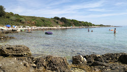 Photo de Debeljak Cove entouré de montagnes