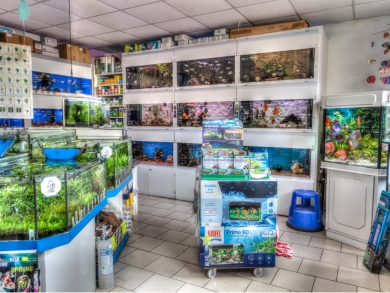 Zierfisch-Paradies unter Viersen, 