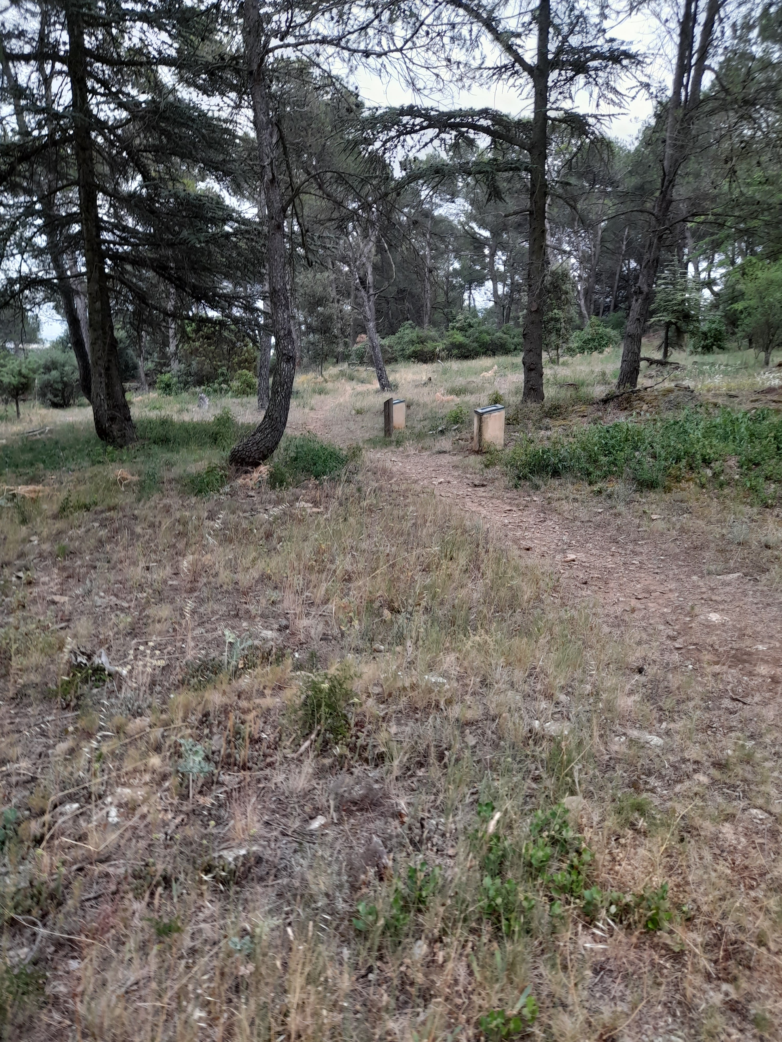 Photo n° 3 de l'avis de Bilbon.A fait le 20/06/2022 à 20:00