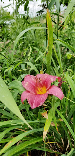 Brewery «Constitution Yards», reviews and photos, 308 Justison St, Wilmington, DE 19801, USA