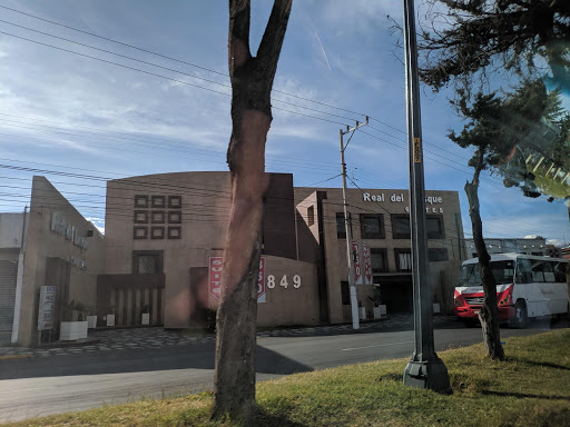 Hoteles animales Toluca de Lerdo