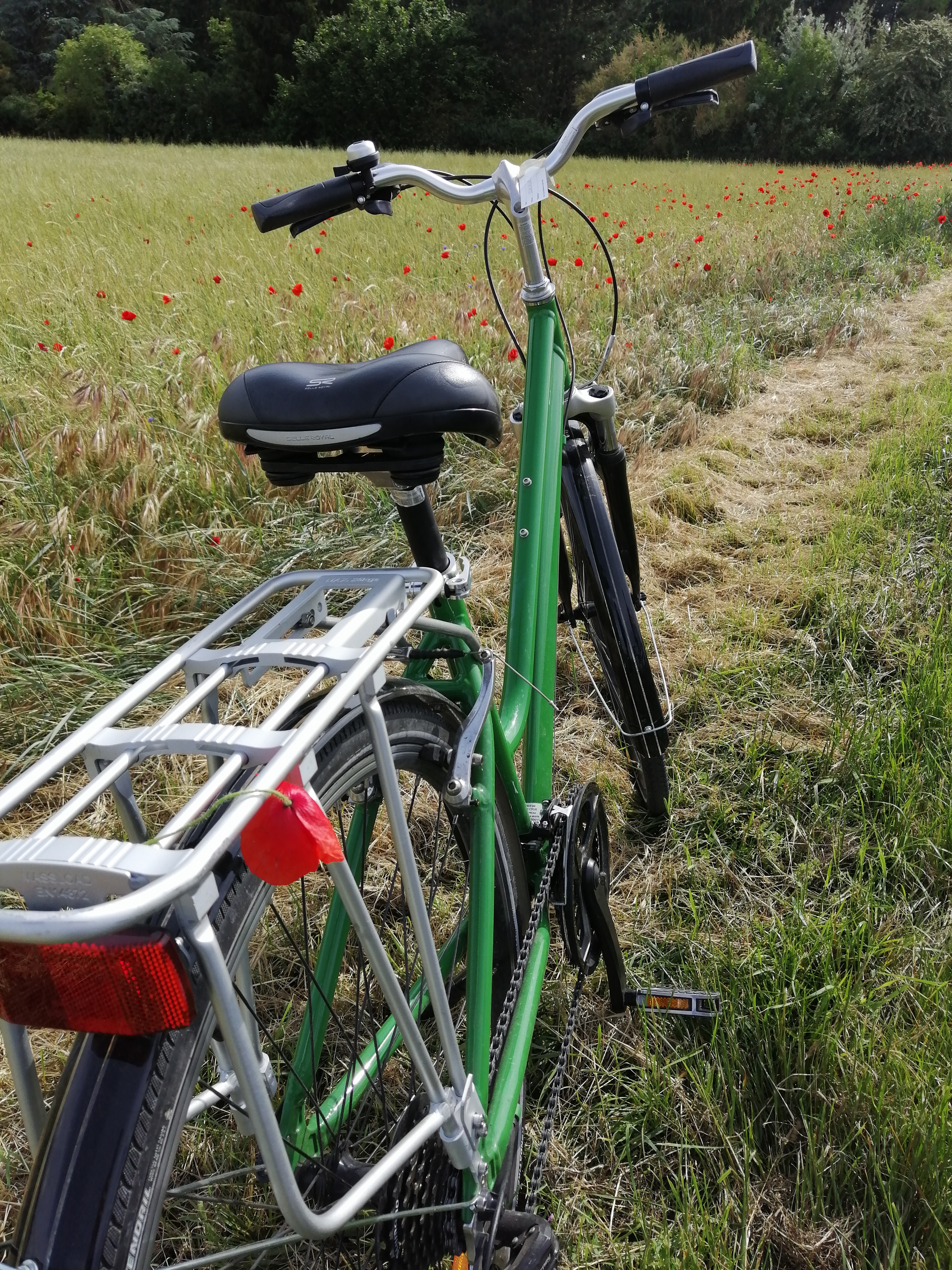 Photo n° 1 de l'avis de Gaspard.e fait le 10/06/2019 à 18:17