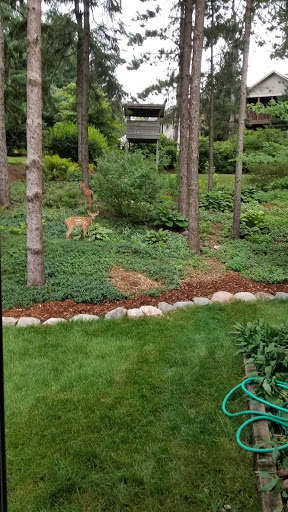 Landscaper «KG Landscape Management», reviews and photos, 10041 Polk St NE, Minneapolis, MN 55434, USA