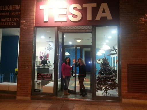 Información y opiniones sobre Testa de Zaragoza