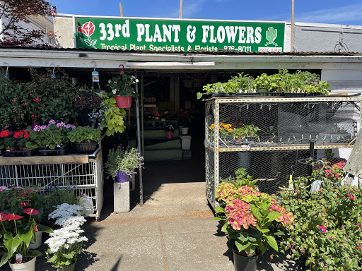 33rd Plants & Flowers