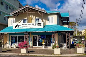 Blue Water Diving Center image