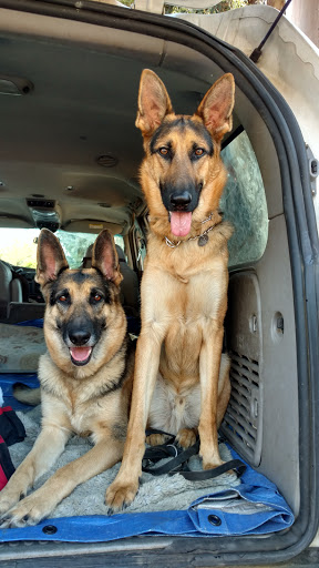 Pet Supply Store «An-Jan Feed & Pet Supply», reviews and photos, 111 S Main St, Milpitas, CA 95035, USA