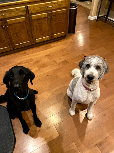 Pet Supply Store «Petco Animal Supplies», reviews and photos, 517 N 3rd Pl, Manhattan, KS 66502, USA