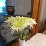 Photo n°3 de l'avis de Marco.a fait le 12/05/2022 à 07:57 sur le  Trattoria del Moro à Ponteranica