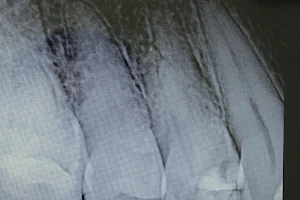 Zain Dental Clinic image
