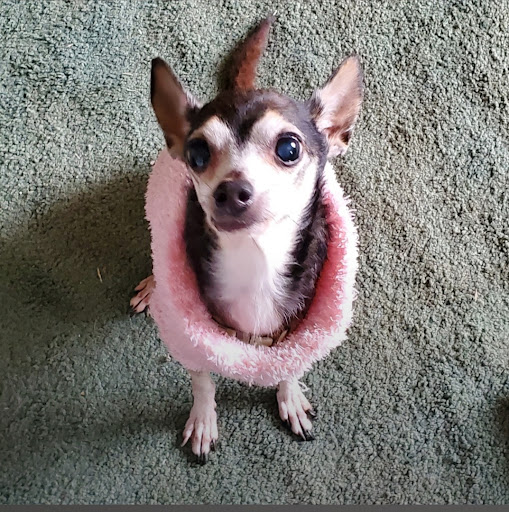 503 E Sonterra Blvd # 102, San Antonio, TX 78258, USA