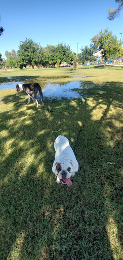 Park «Pierce Park», reviews and photos, 2150 N 46th St, Phoenix, AZ 85008, USA