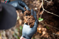 Go-Forth Pest Control - Photo 8 - Car repair in Raleigh, NC, Raleigh