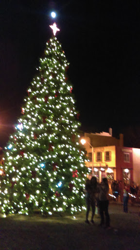 Quilt Shop «The Village Quilter», reviews and photos, 10 Charles St, Mt Holly, NJ 08060, USA