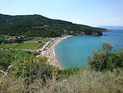 Zdjęcie Manastir beach z wiele przestronnych zatok