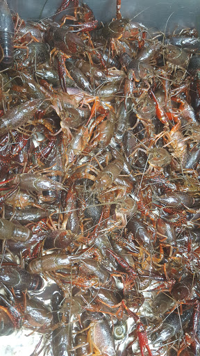 Asian Grocery Store «S mart Grocery Store», reviews and photos, 1901 Manchester Expy, Columbus, GA 31904, USA