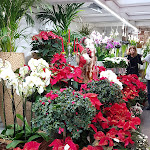 Photo n° 2 de l'avis de Ionut.r fait le 08/12/2018 à 15:45 pour Maurice Jardins Fleurs à Cannes