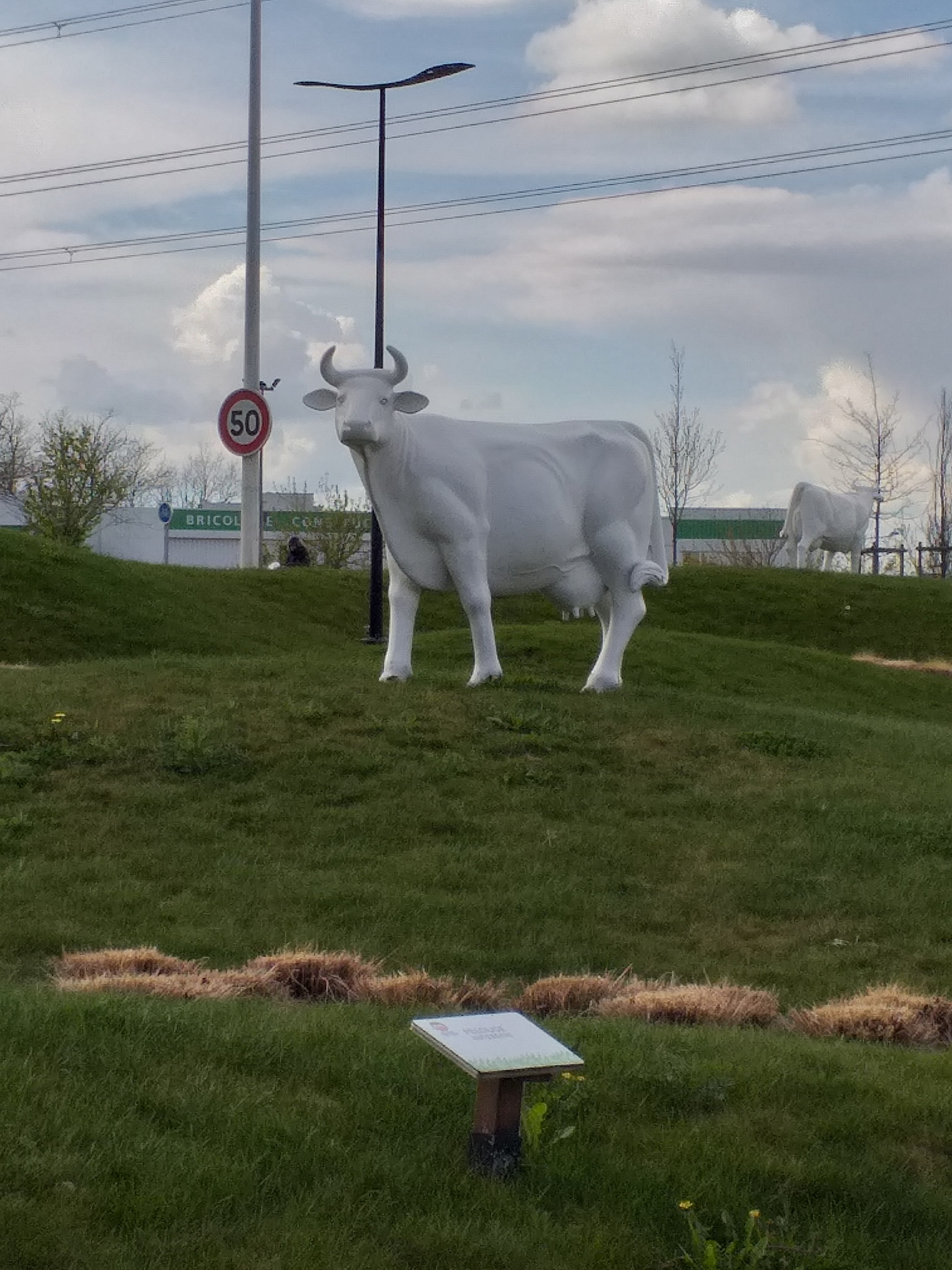 Photo n° 3 de l'avis de Cathy.i fait le 09/04/2019 à 17:24