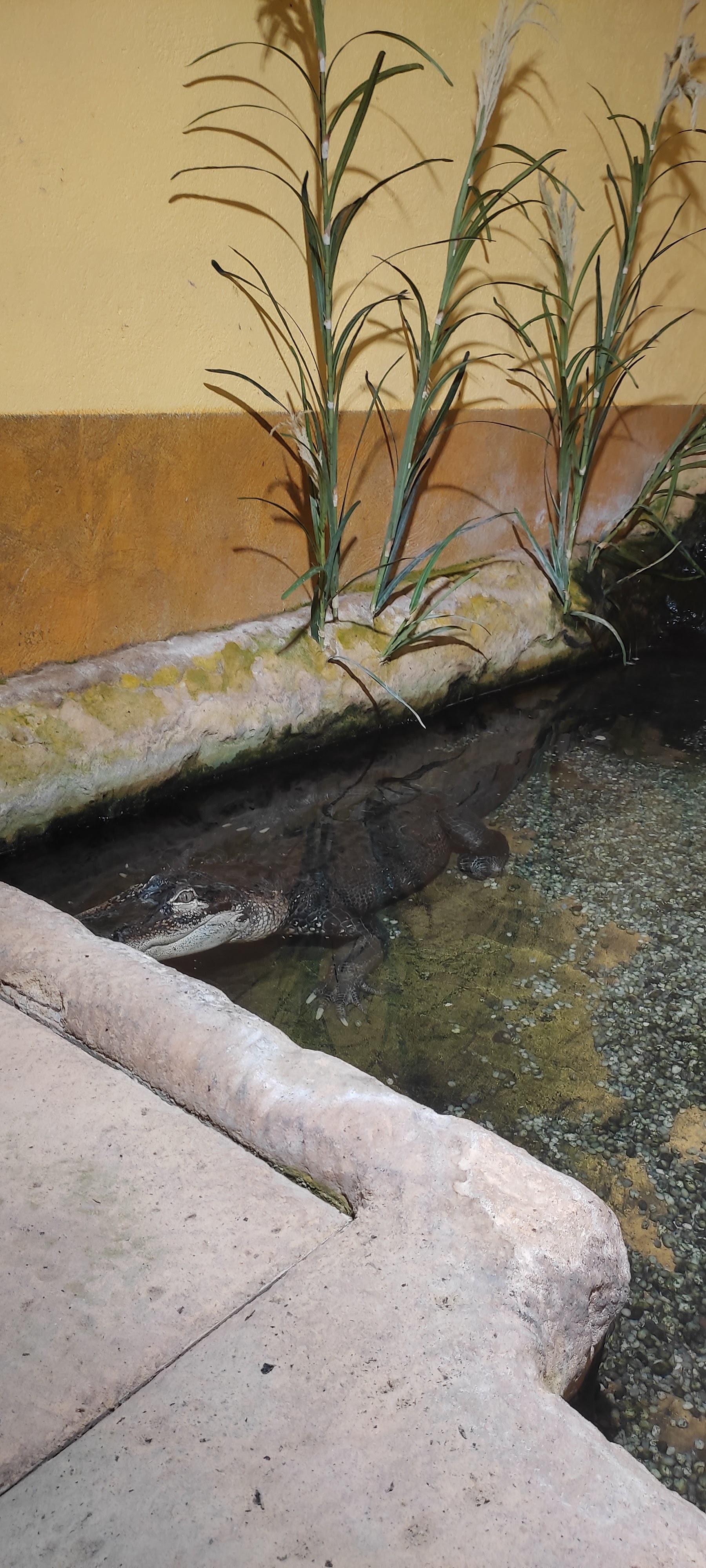 Photo n° 24 de l'avis de Astrid.i fait le 17/09/2021 à 13:14