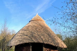 Bluebell Lane Glamping image