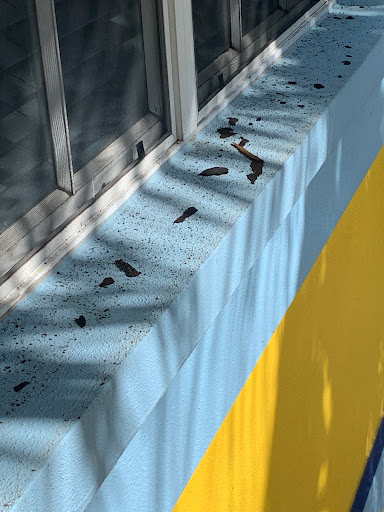 Roofing Contractor «Stay Dry Roofing», reviews and photos, 4700 N Florida Ave, Tampa, FL 33603, USA