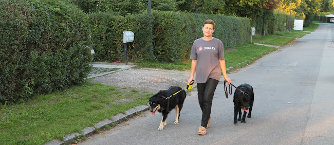 Anmeldelser af Dogley.com i Bispebjerg - Hundetræner