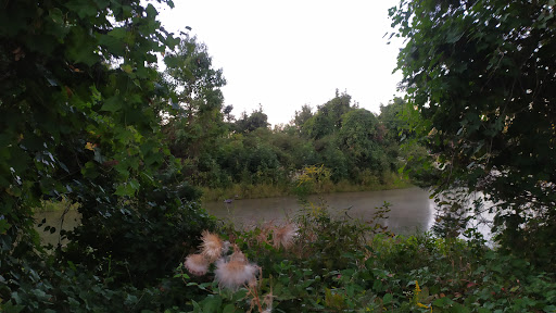 Golf Course «Paint Branch Golf Course», reviews and photos, 4690 University Blvd E, College Park, MD 20740, USA