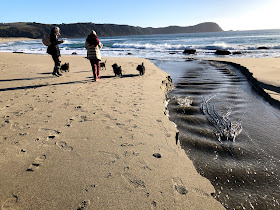 Dunas de Guabún