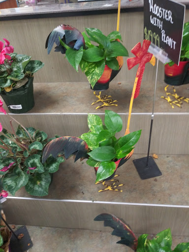 Shopping Mall «Heritage Park Shopping Center», reviews and photos, 250 Sunset Ave, Suisun City, CA 94585, USA