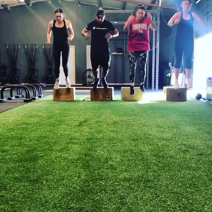 LivFit Training