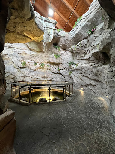 Aquarium «North Carolina Aquarium at Pine Knoll Shores», reviews and photos, 1 Roosevelt Blvd, Pine Knoll Shores, NC 28512, USA