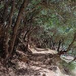 Photo n° 1 de l'avis de Céline.u fait le 08/07/2022 à 18:54 pour Gorges Du Verdouble à Duilhac-sous-Peyrepertuse