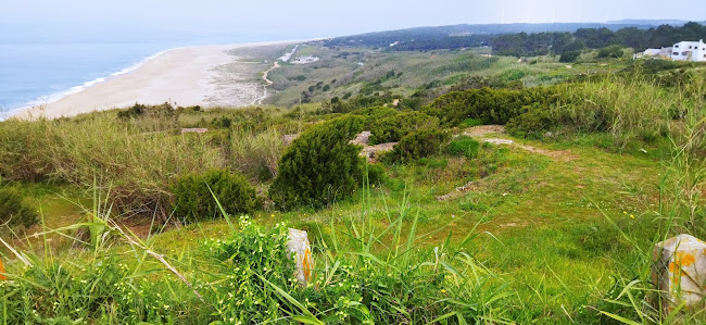 Road of Angels - Nazaré