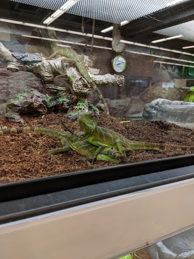 Pet Supply Store «Petco Animal Supplies», reviews and photos, 11331 W Broad St #151, Glen Allen, VA 23060, USA