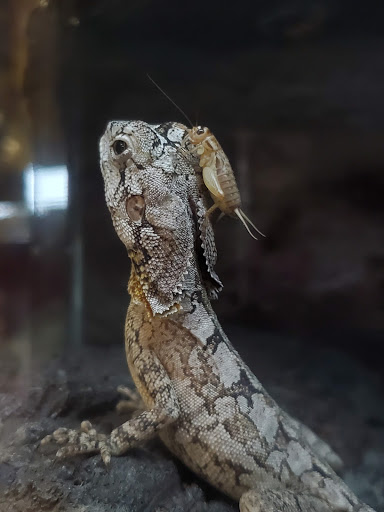 Pet Supply Store «Petco Animal Supplies», reviews and photos, 3731 Gateway Dr, Eau Claire, WI 54701, USA