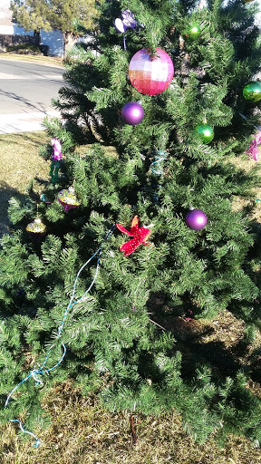 Park «Jessica Ridgeway Memorial Park», reviews and photos, 10765 Moore St, Westminster, CO 80021, USA