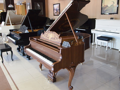 Steinway Piano Gallery Moscow