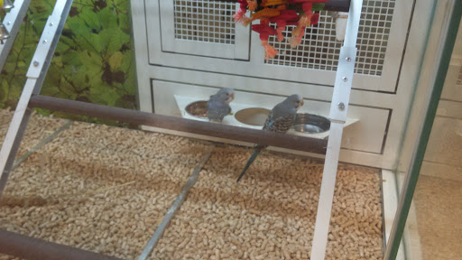 Pet Supply Store «PetSmart», reviews and photos, 150 Glynn Isle, Brunswick, GA 31525, USA