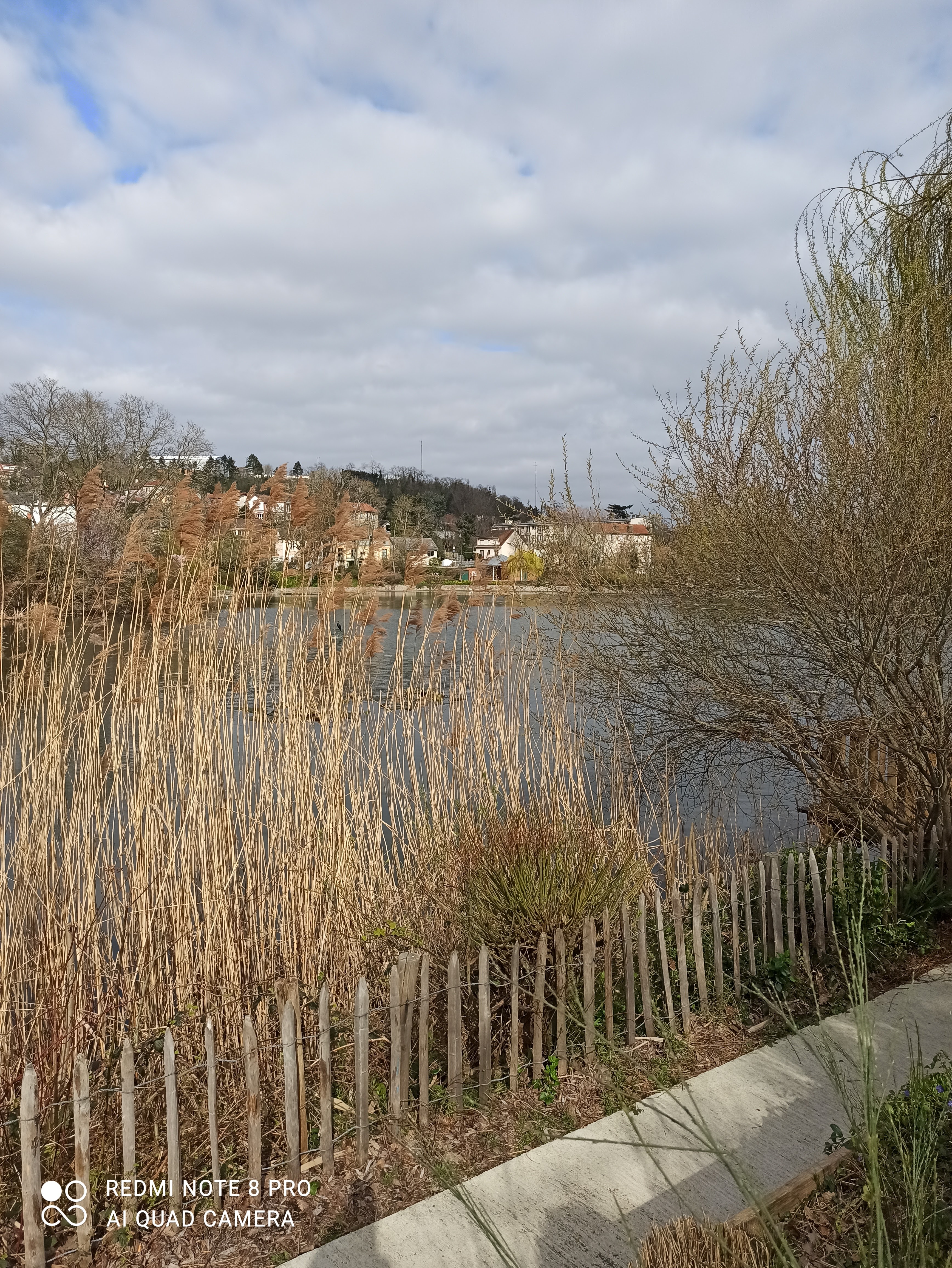 Photo n° 4 de l'avis de patricia.a fait le 22/03/2021 à 19:41