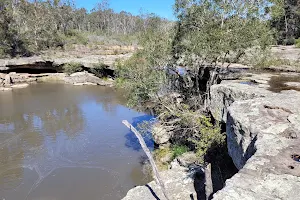 Parma Creek Nature Reserve image