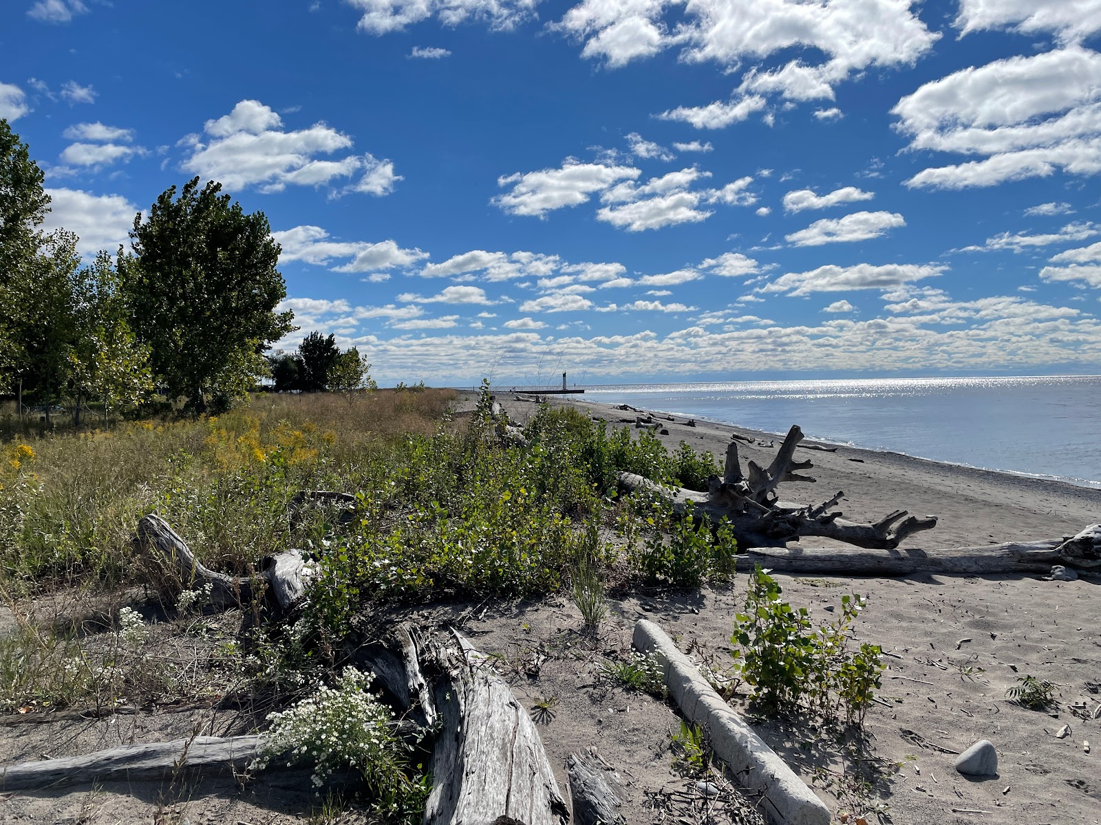Photo de Port Bruce Beach (Dubs Beach) avec un niveau de propreté de très propre