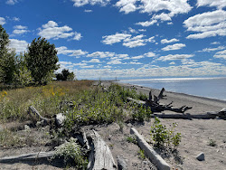 Photo de Port Bruce Beach (Dubs Beach) avec un niveau de propreté de très propre