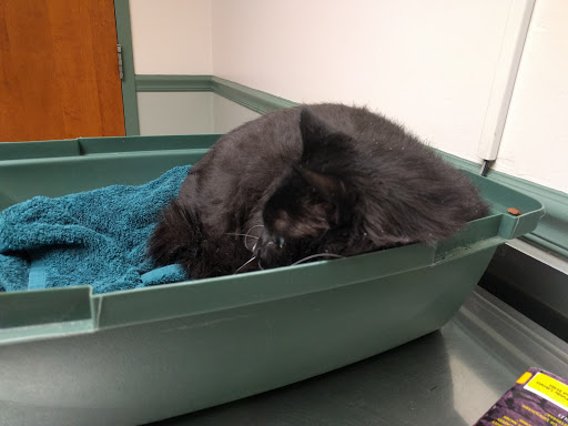 4800 Ritchie Hwy, Baltimore, MD 21225, USA