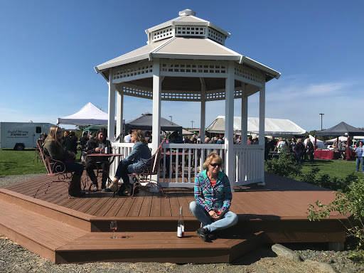 Winery «Dancing Dragonfly Winery», reviews and photos, 2013 120th Ave, St Croix Falls, WI 54024, USA