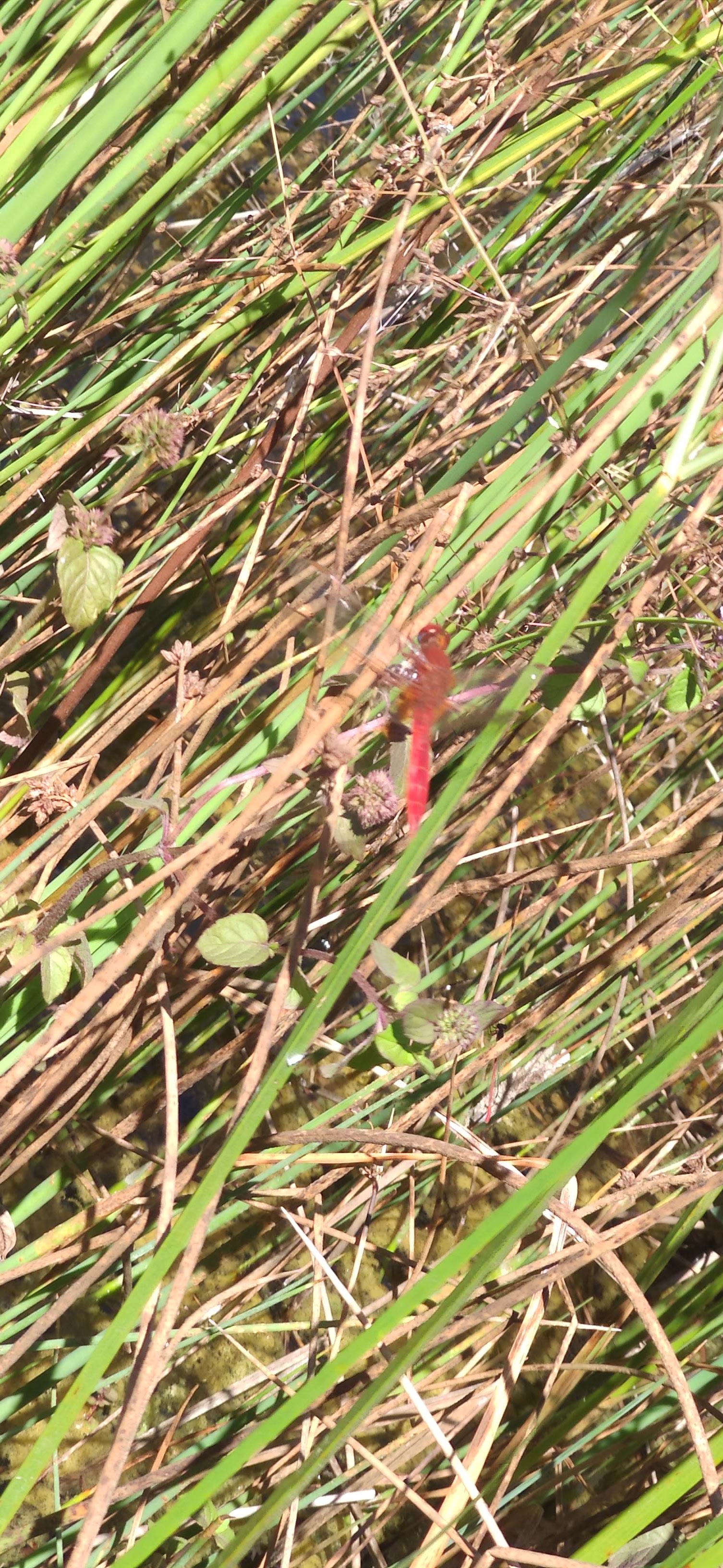 Photo n° 4 de l'avis de Florianne.o fait le 25/08/2020 à 20:05