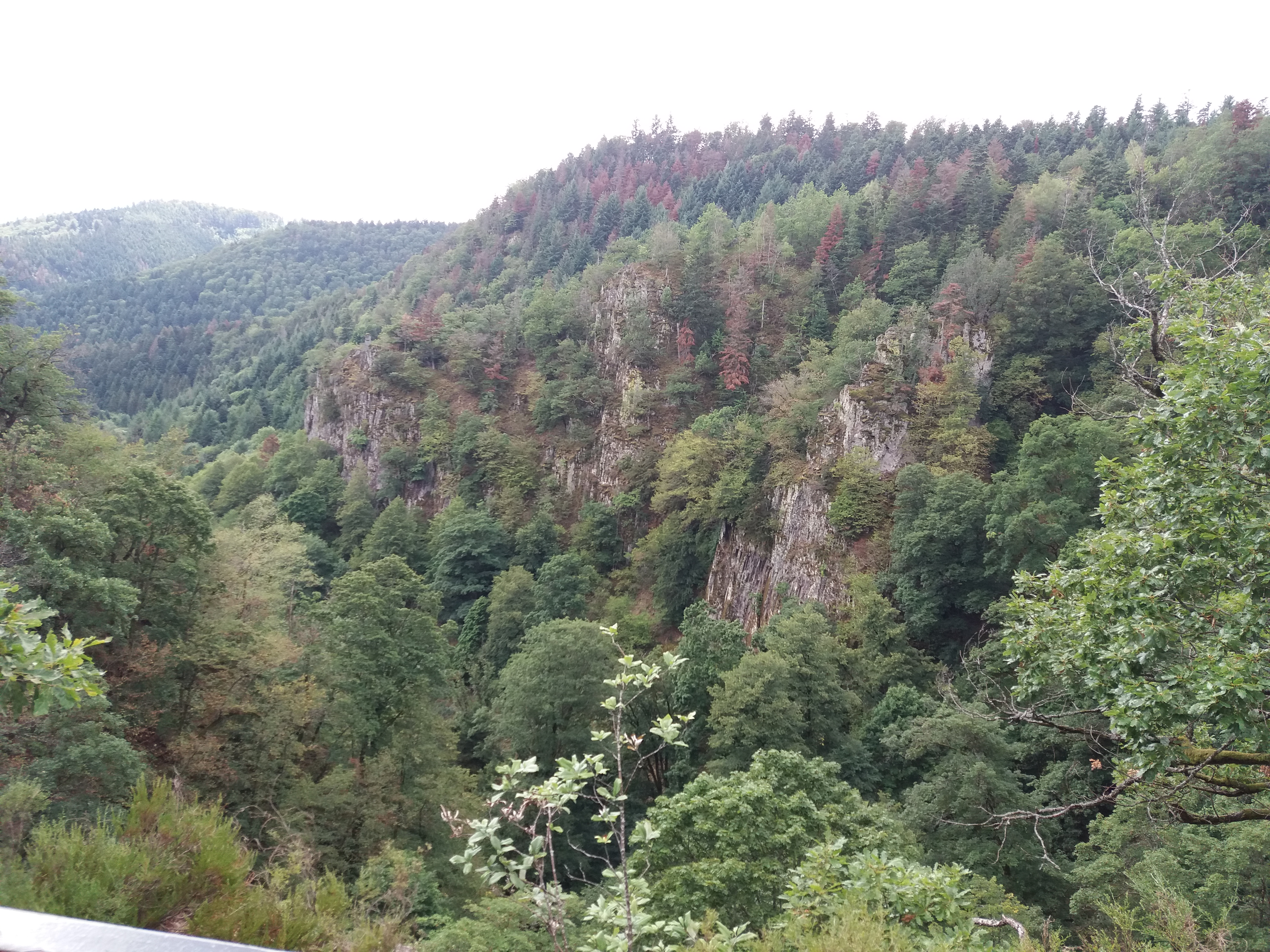 Photo n° 3 de l'avis de Rachel.o fait le 13/08/2019 à 14:56