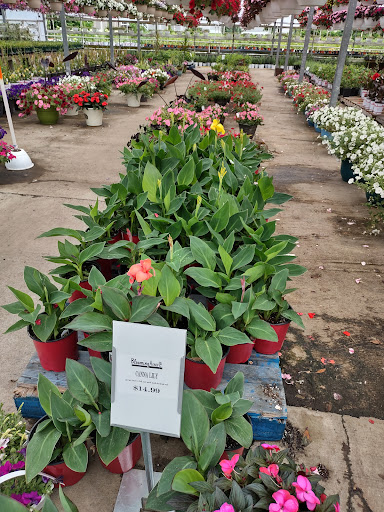 Plant Nursery «Blooming Acres», reviews and photos, 7561 State Rd, Wadsworth, OH 44281, USA