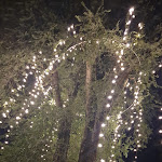 Photo n°1 de l'avis de Romita.a fait le 30/08/2023 à 19:52 sur le  O' Belvedere à Parma