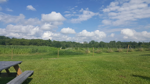 Winery «Five Sons Winery/RG Brewery», reviews and photos, 1360 W Sweden Rd, Brockport, NY 14420, USA