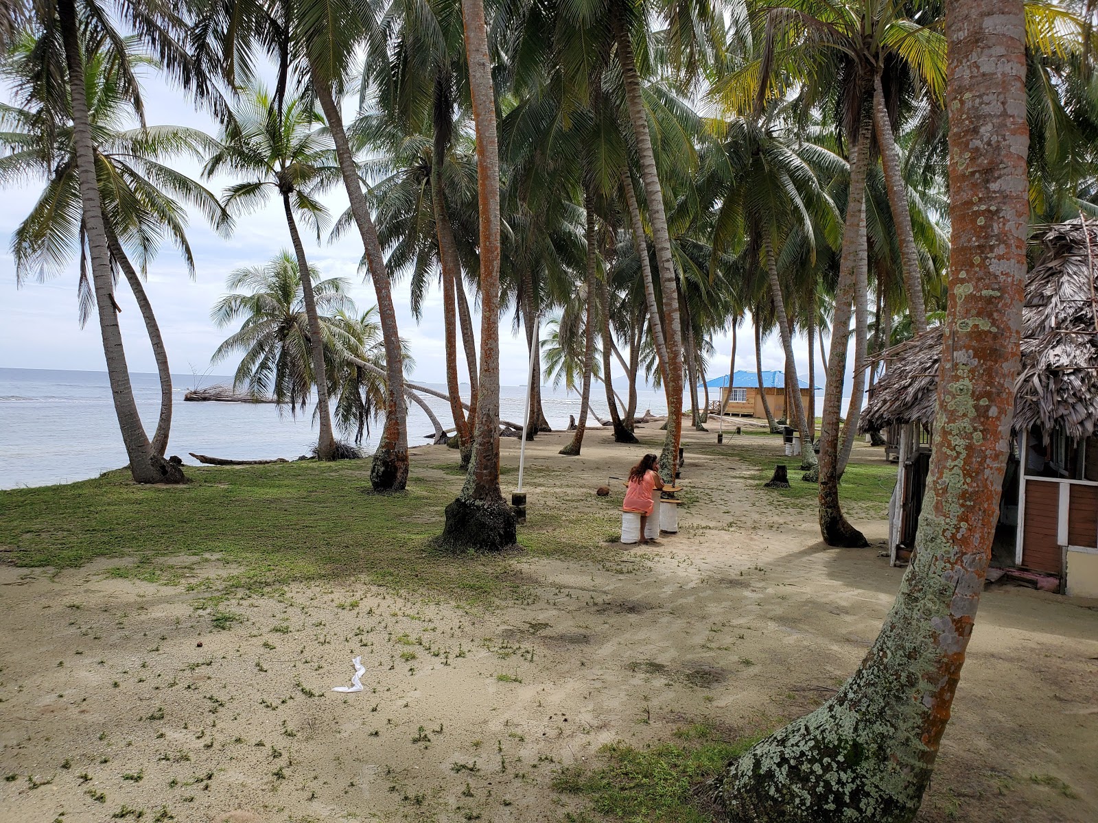 Foto af Guna Yala Gulf island beliggende i naturområde